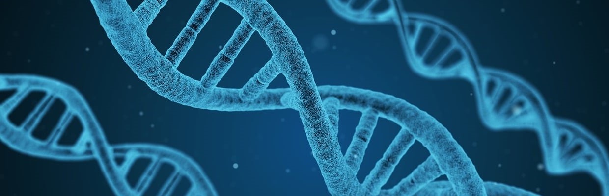  Synthèse ADN nouvelle génération 